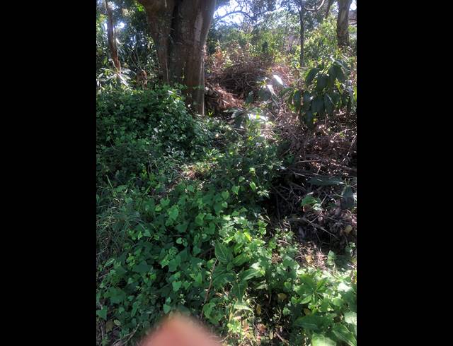 3,335M² VACANT LAND FOR SALE IN UMGENI PARK